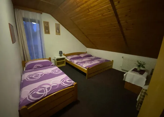 Pensionat Krupka 443 - Herlikovice A Bubakov Vrchlabí